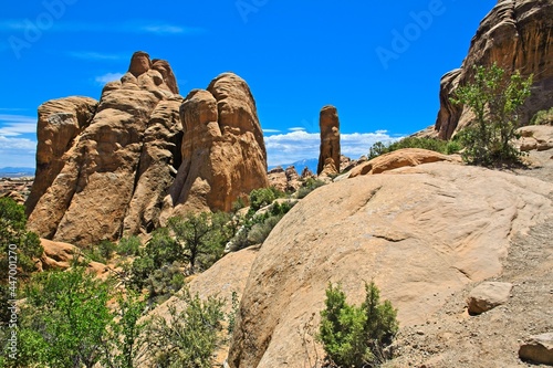 Arches National Park, Utah, USA. the landscape of contrasting colors and textures. natural stone arches and hundreds of soaring pinnacles