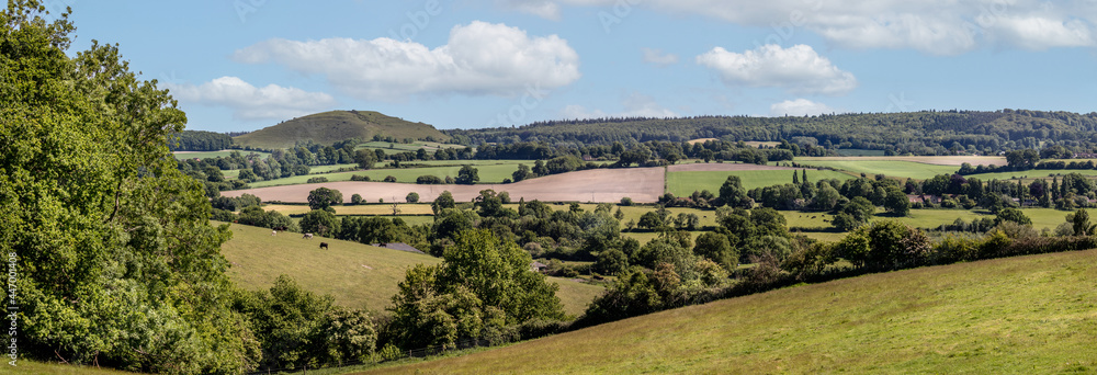 Obraz premium Panoramic landscape looking towards Cley Hill in Wiltshire, UK