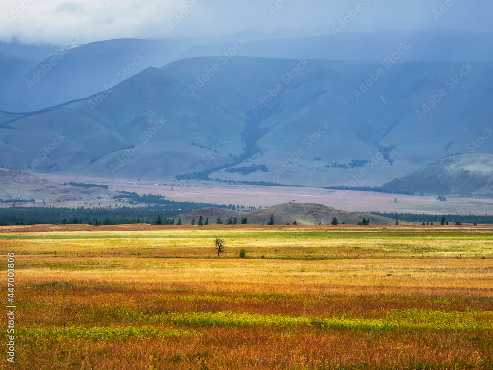 Bright summer steppe landscape. Steppe on the background of mountains. Bright summer steppe landscape. Steppe on the background of mountains.