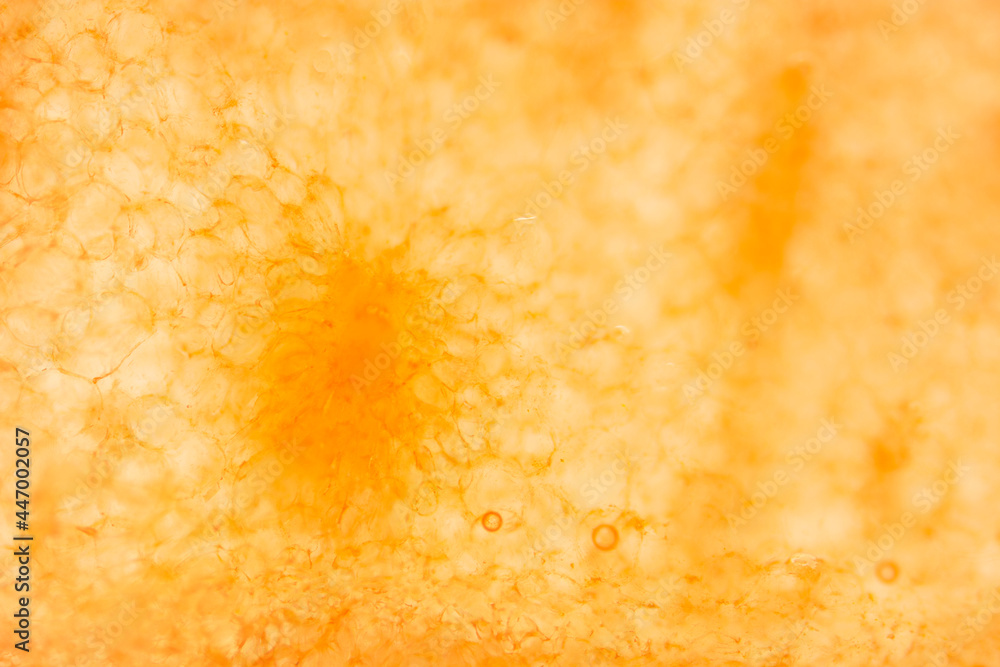Ultra Nahaufnahm einer Wassermelone Ultra Nahaufnahm einer Wassermelone