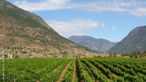 Lillooet British Columbia Canada Vineyard photo