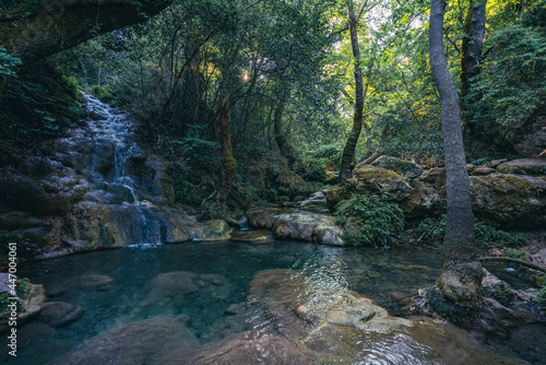 waterfall in the forest