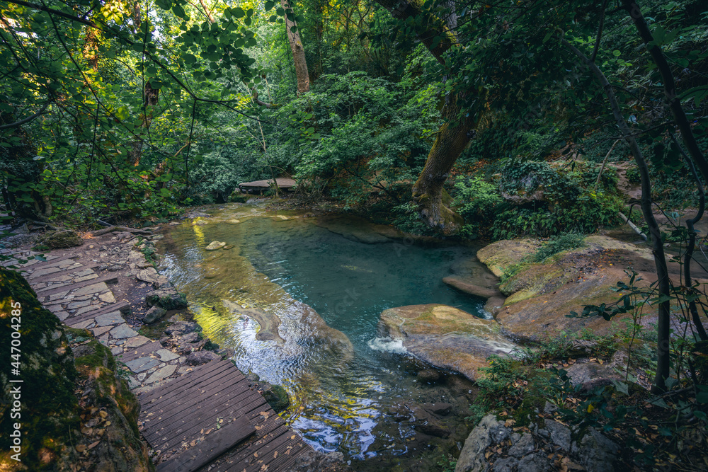 Obraz premium river in the forest