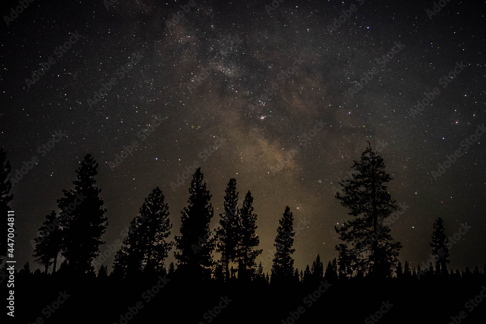 Fototapeta premium Stars at night