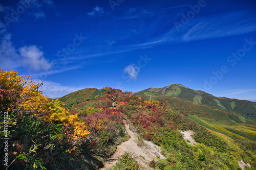 mt.iide trekking in autumn,  秋の快晴下の飯豊山トレッキング © yasuki 