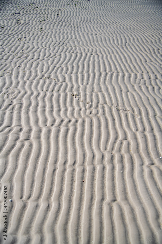 Sand dunes on a beautiful beach. Sand dunes on a beautiful beach.
