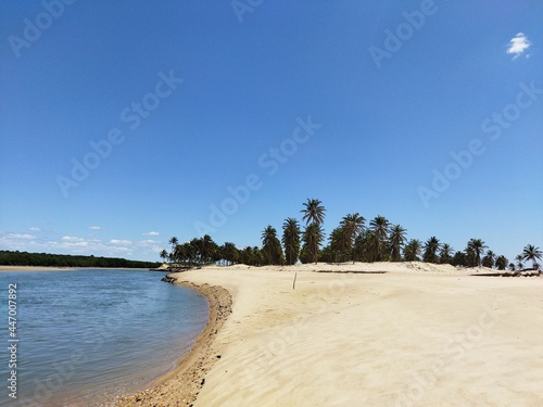 beach and sea