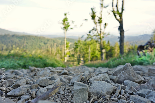 Wallpaper Mural rocky trail Torontodigital.ca