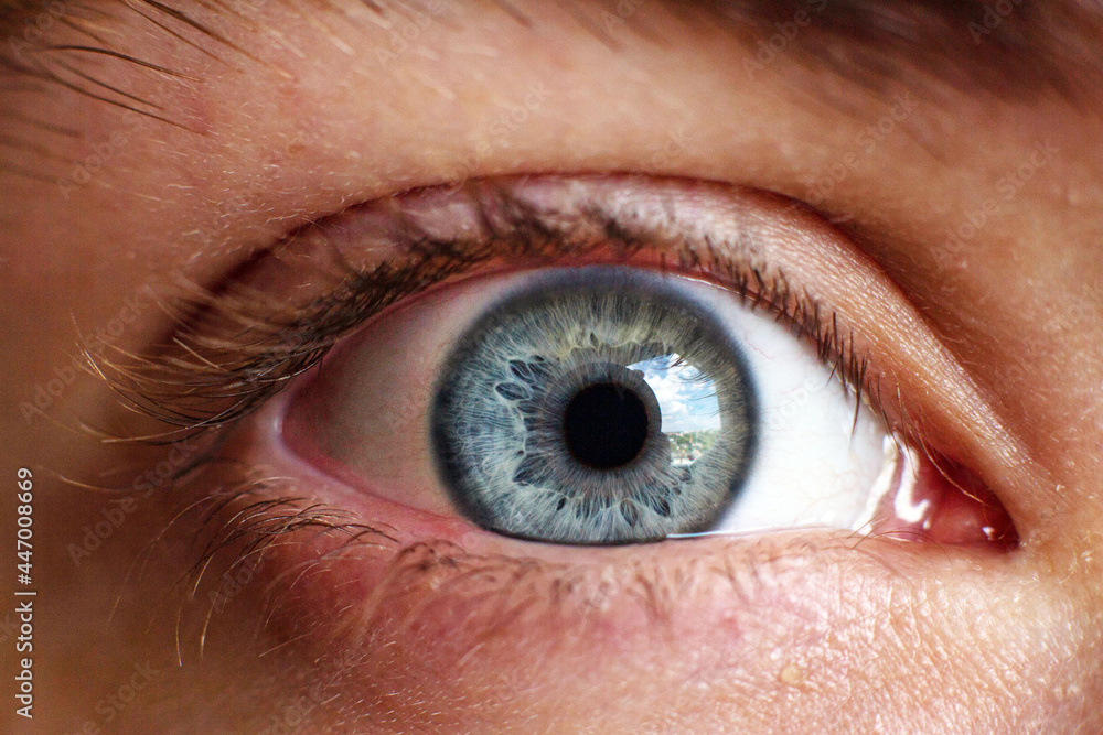 Blue eyes with long eyelashes close-up. Selective focus Blue eyes with long eyelashes close-up. Selective focus