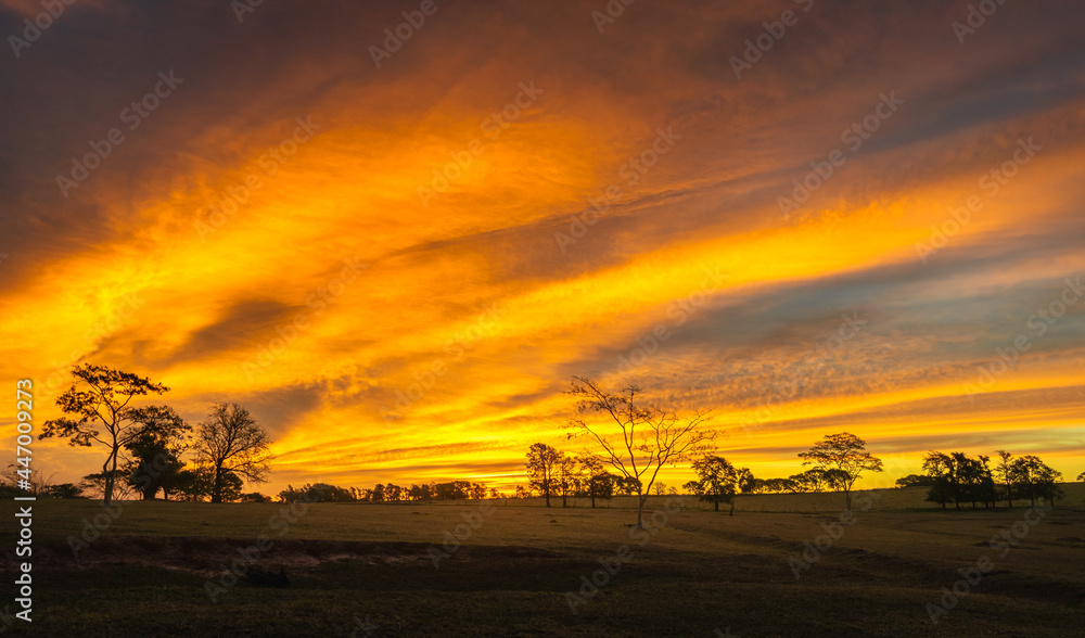 Naklejka premium Spectacular sunset with yellow colors, yellow sky, incredible sunset