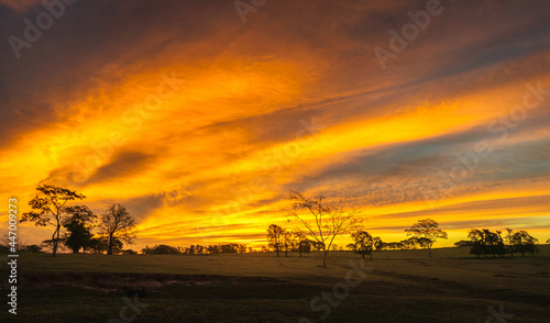 Spectacular sunset with yellow colors  yellow sky  incredible sunset