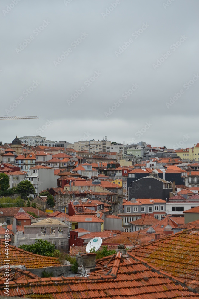 The roofs of the city of Porto on the river