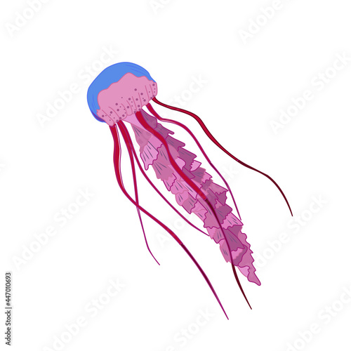 A beautiful purple jellyfish with long tentacles, isolated on a white background. Underwater inhabitants of the seas and oceans. The EPS10 vector.