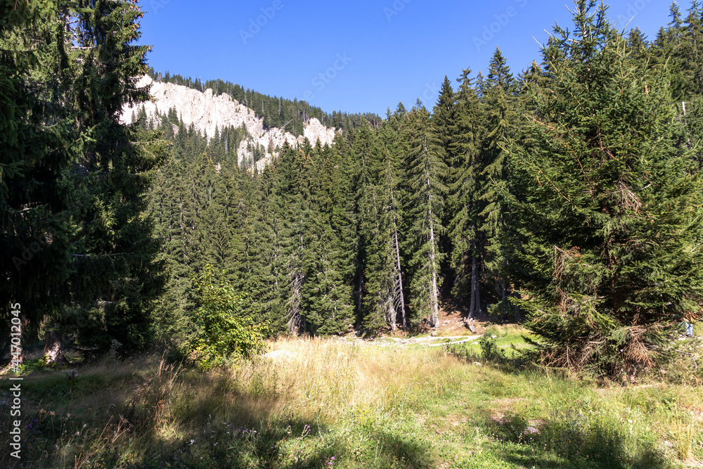 Obraz premium The Grassy (Trevistoto) Smolyan lake at Rhodope Mountains, Bulgaria