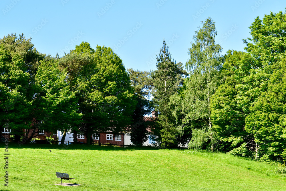 Naklejka premium Lonely bench in the lawn in the park, Kenilworth, England, UK