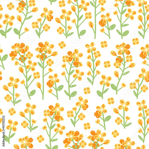 Rapeseed pattern on white background. Vector hand drawn illustration. Flower backdrop for textile, wrapping paper, greeting cards