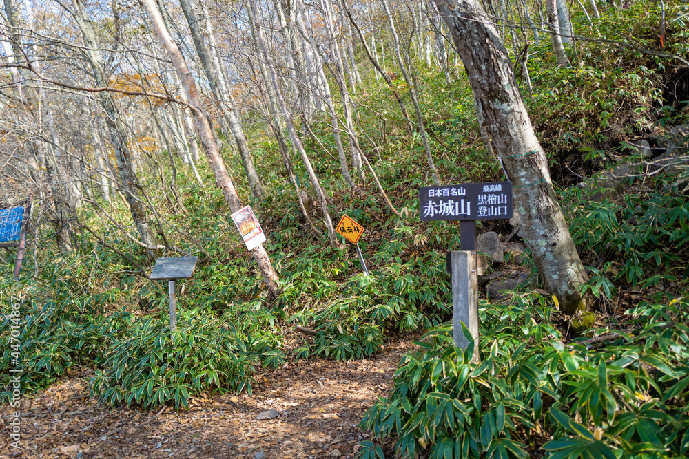 紅葉の季節の群馬県の赤城山の登山道の風景 A view of the trail at Mount Akagi in Gunma Prefecture during the season of autumn leaves. 紅葉の季節の群馬県の赤城山の登山道の風景 A view of the trail at Mount Akagi in Gunma Prefecture during the season of autumn leaves.