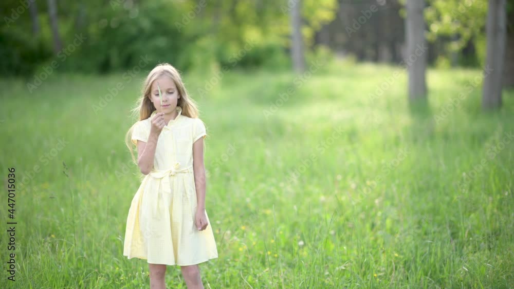 Portrait of a little girl in a dress Outdoors in a green park. Happy Child Smiling Looking Camera Portrait of a little girl in a dress Outdoors in a green park. Happy Child Smiling Looking Camera