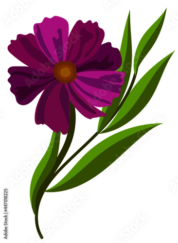 vector purple flower with green leaves