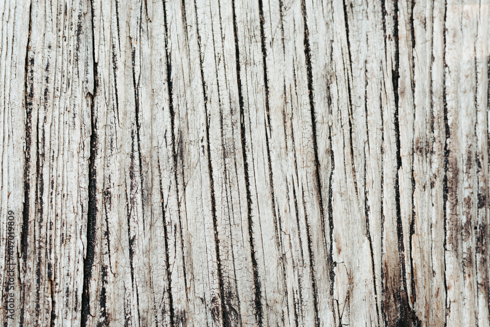 Old Weathered white wooden textured background
