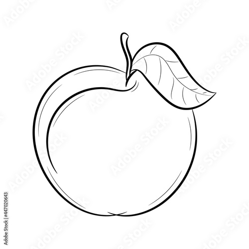 Doodle peach fruit vector illustration, with hand drawn sketching style