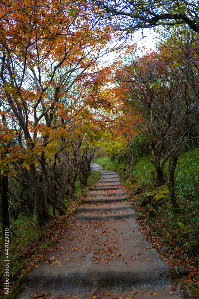 大分県の紅葉のくじゅう連山の風景  Mt.Kujyu range scenery of autumn leaves in Oita Prefecture 