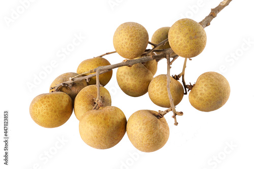 longan longan Name of a tree species Dimocarpus longan Lour. in the family Spindaceae. Round fruit, yellowish brown bark. The flesh is clear white, sweet and edible, the vine species is called Longan 