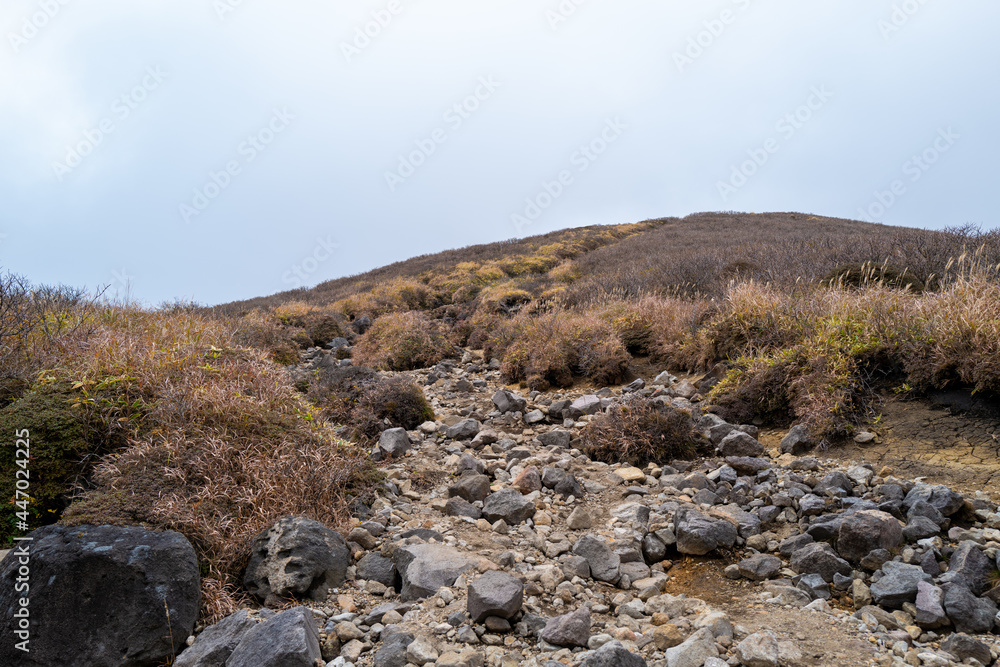 Obraz premium 大分県の紅葉のくじゅう連山の風景 Mt.Kujyu range scenery of autumn leaves in Oita Prefecture 
