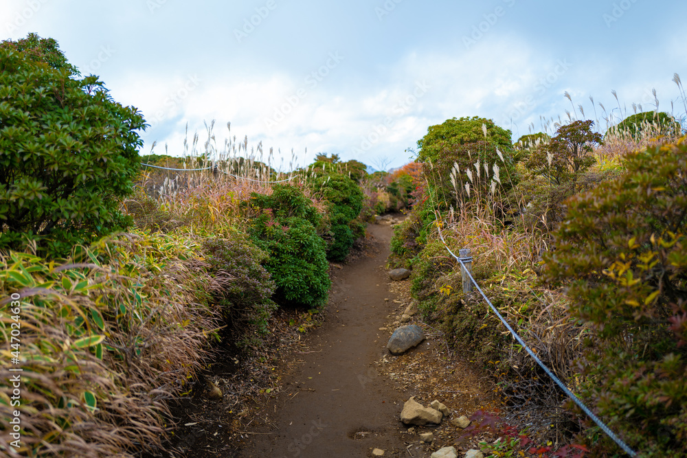 大分県の紅葉のくじゅう連山の風景 Mt.Kujyu range scenery of autumn leaves in Oita Prefecture 大分県の紅葉のくじゅう連山の風景 Mt.Kujyu range scenery of autumn leaves in Oita Prefecture