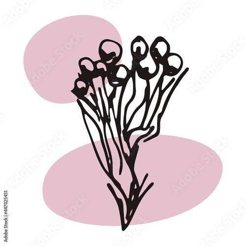 The plant is drawn by hand with a pen and translated into vector format. In the background there is an abstract colored spot. Stock vector illustration. For garment decoration, packaging, interior