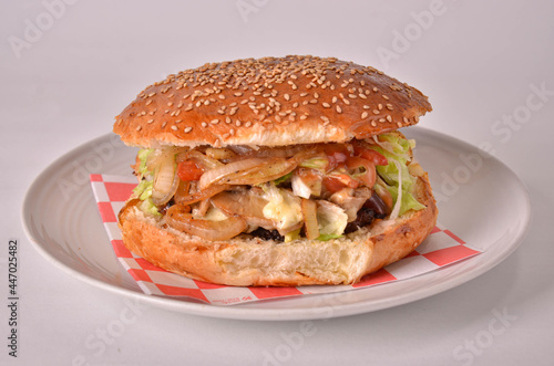 Mushrooms Cheese Burger Mexican Food, Background White Horizontal