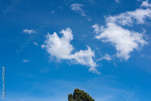 Blue sky with white clouds © KAVIN