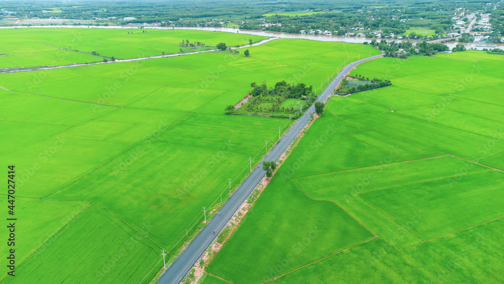 Endless fields in Vietnam