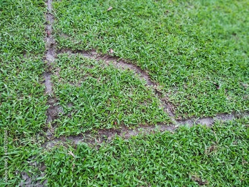 View of  football field corner in Bangladesh