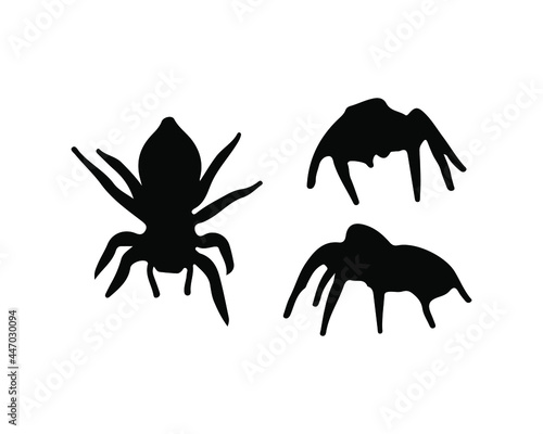 silhouette spider on white background. vector illustration