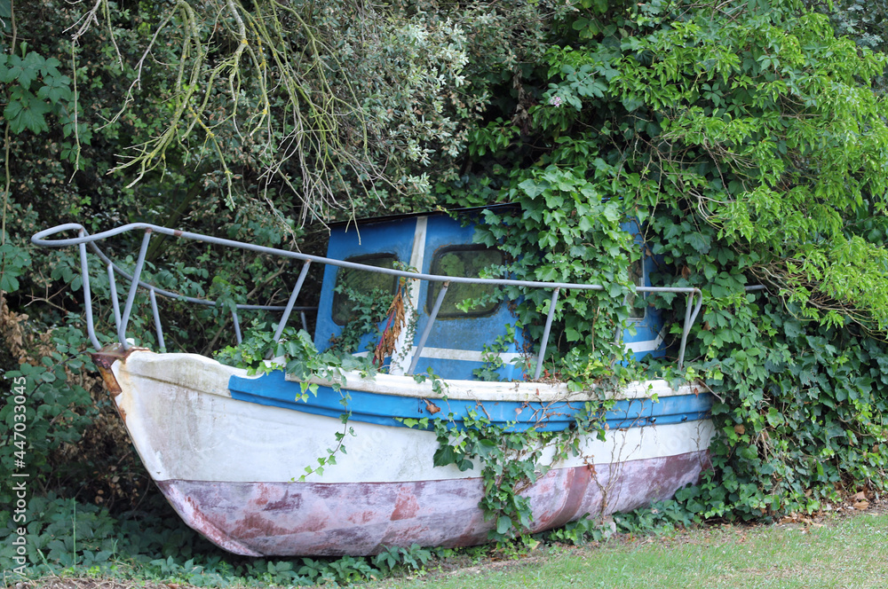wreck of an abandoned boat submerged in the vegetation that has taken over wreck of an abandoned boat submerged in the vegetation that has taken over