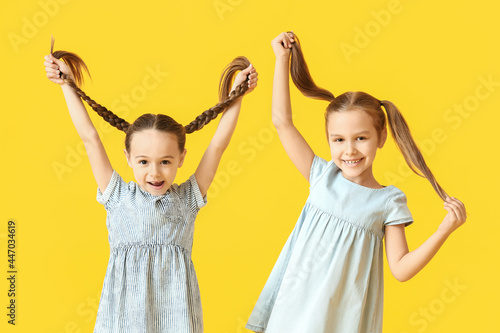 Cute little sisters on colo...