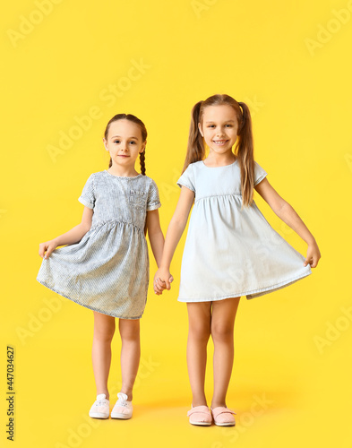 Cute little sisters on colo...