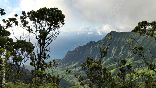 Kauai Wiamea photo