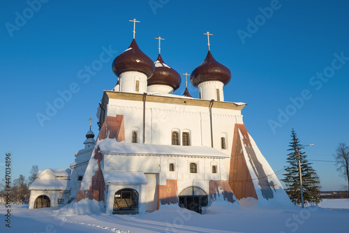 Ancient Cathedral of the Nativity of Christ (1562) on a frosty February morning. Kargopol, Russia photo