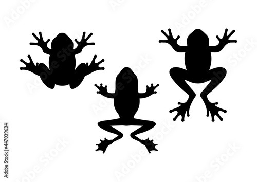 Frog silhouette. Tailless amphibians, top view.