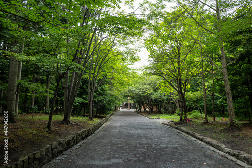                             Scenery of Sapporo City  Hokkaido