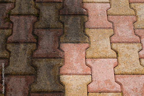 Contrast between auto block slab patio paving slabs floor dirty clean pressured washed before and after cleaning