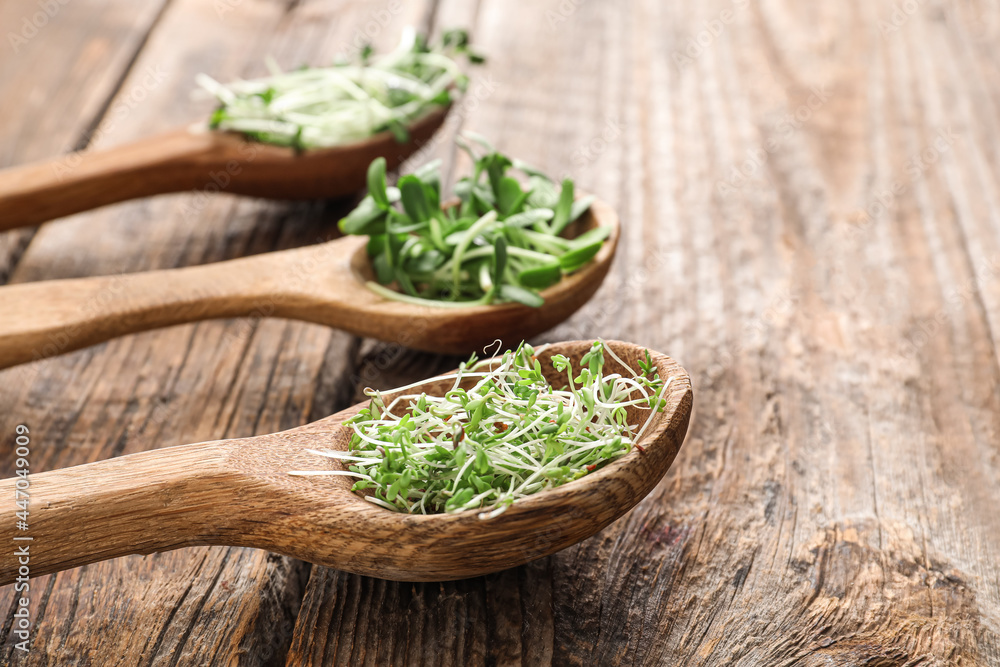 Spoons with different fresh micro green on wooden background Spoons with different fresh micro green on wooden background