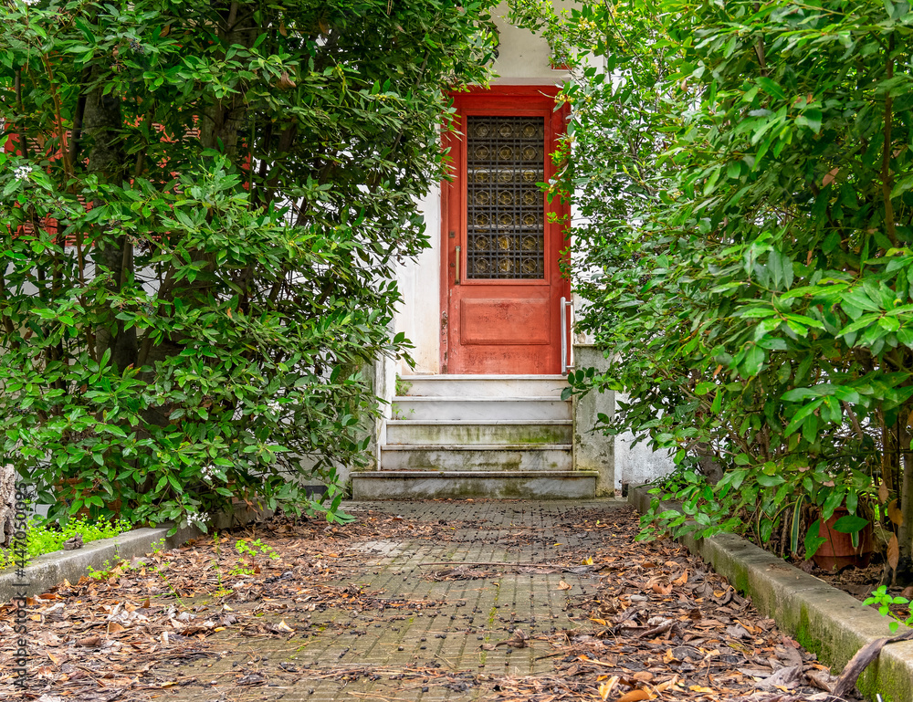 traditional family house external entrance door  through dense green foliage, Athens Greece