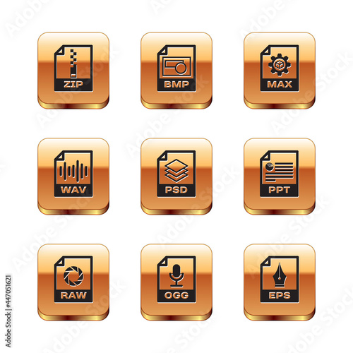 Set ZIP file document, RAW, OGG, PSD, WAV and MAX icon. Vector