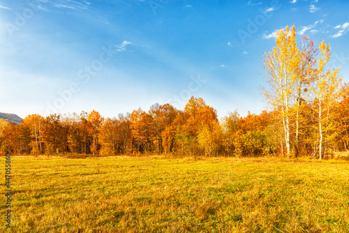 Autumn landscape, a clearing on the outskirts of the forest