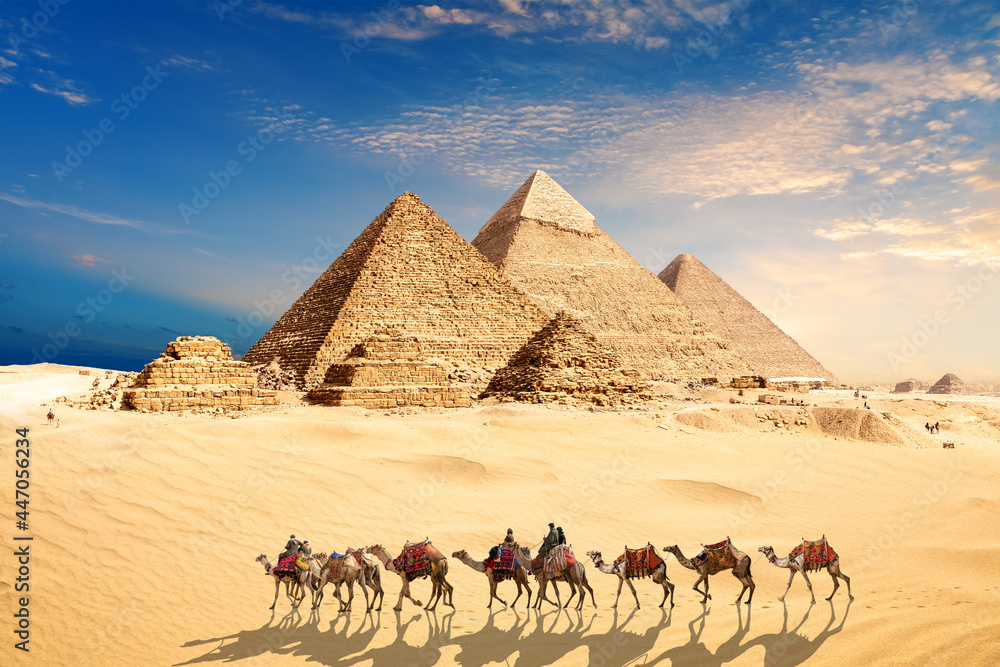 A camel caravan with bedouins by the Pyramids of Egypt in the desert of Giza