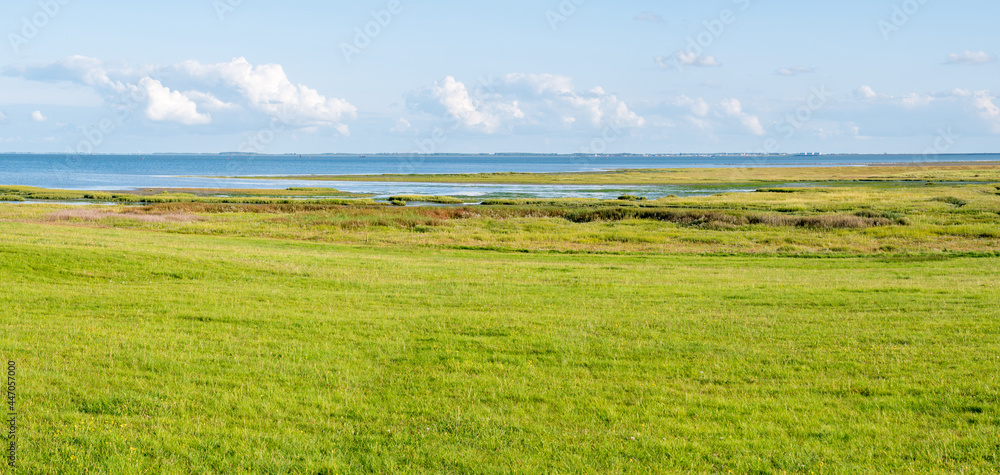 Naklejka premium Panorama of Waddensea coast with marshes on Frisian island Schiermonnikoog, Netherlands