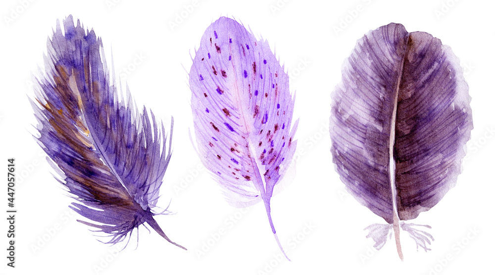 A set of watercolor illustration with feathers and dream catchers A set of watercolor illustration with feathers and dream catchers